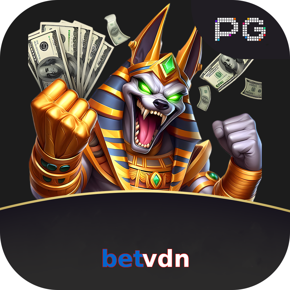 betvdn