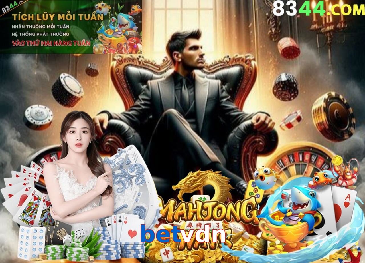 betvdn